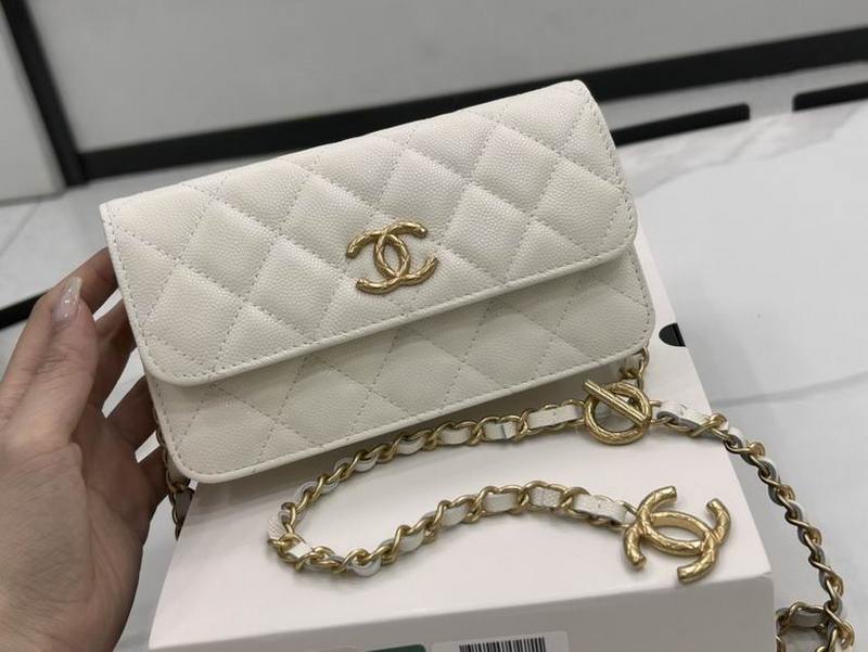 Chanel Handbags 193